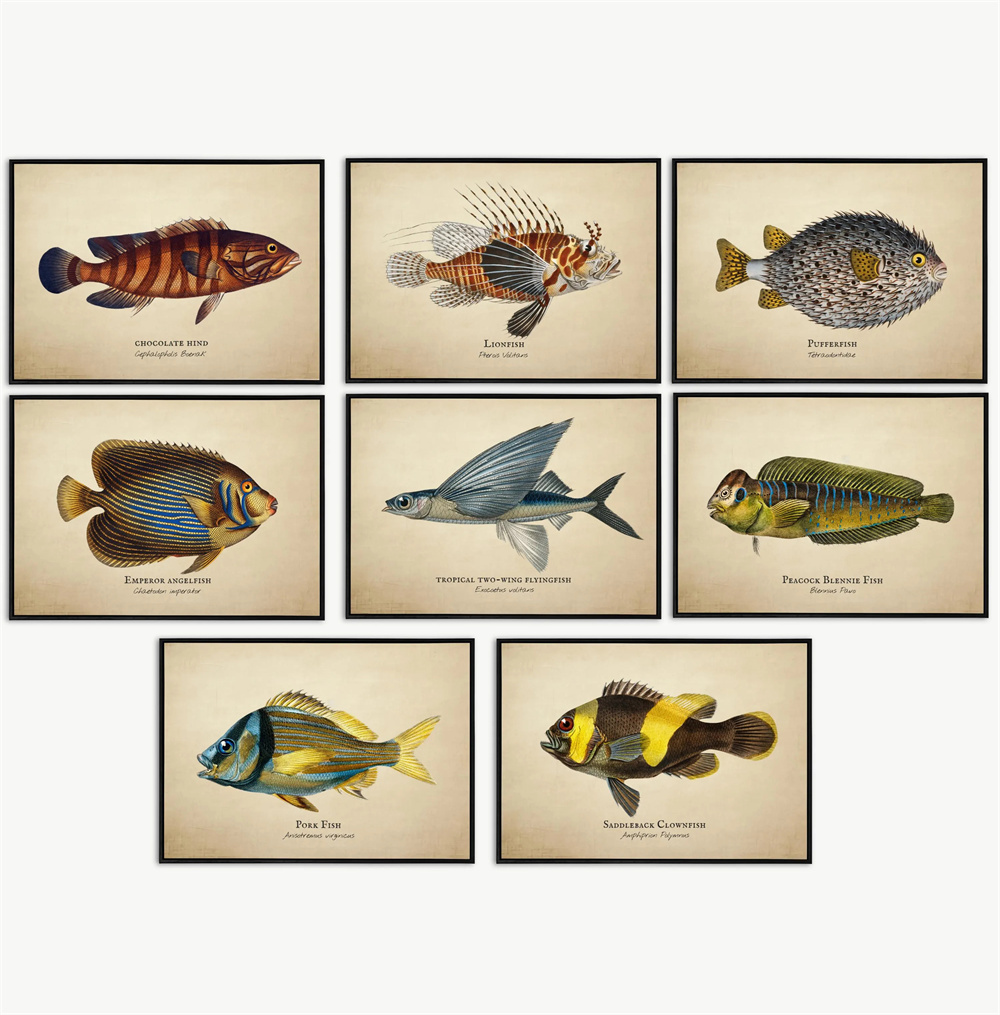 Vintage Pictures Tropical Fish - Marine Life Aquariums avis et prix