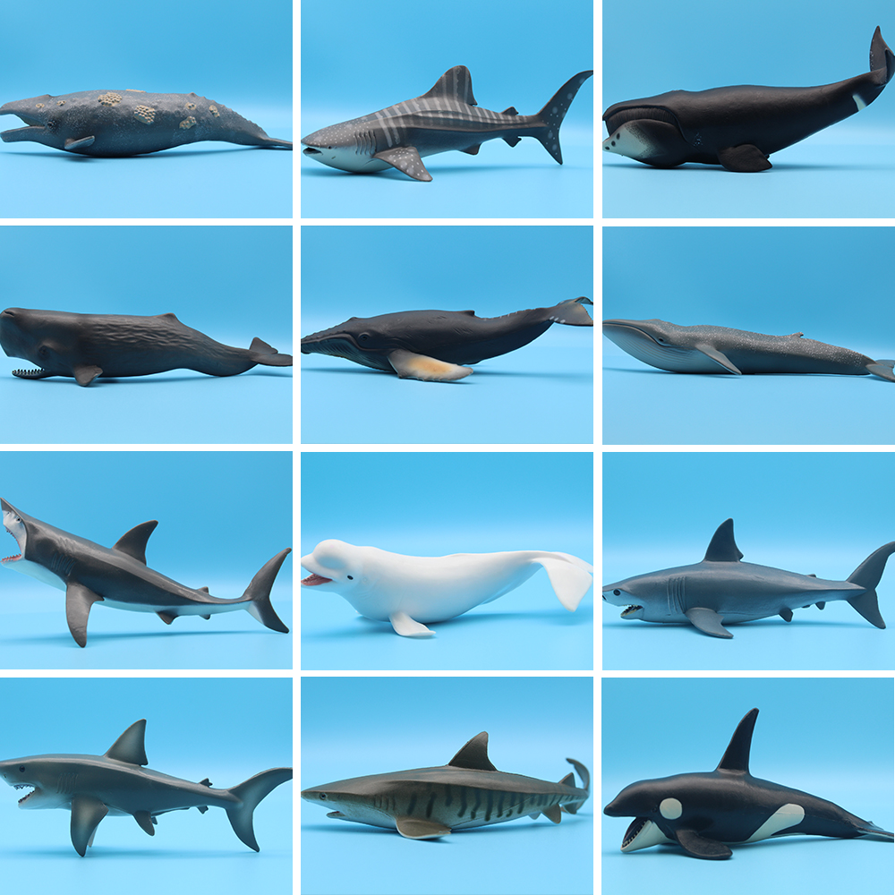 Ocean Sea Life Simulation Kill - Marine Life Aquariums avis et prix