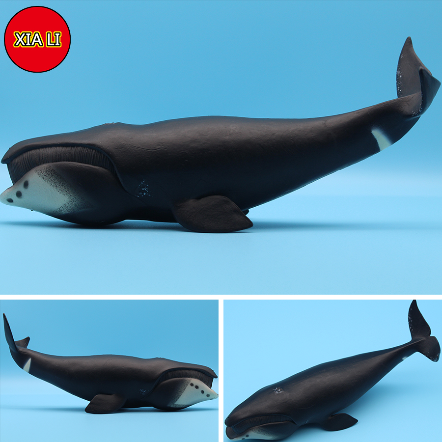 Ocean Sea Life Simulation Kill - Marine Life Aquariums avis et prix
