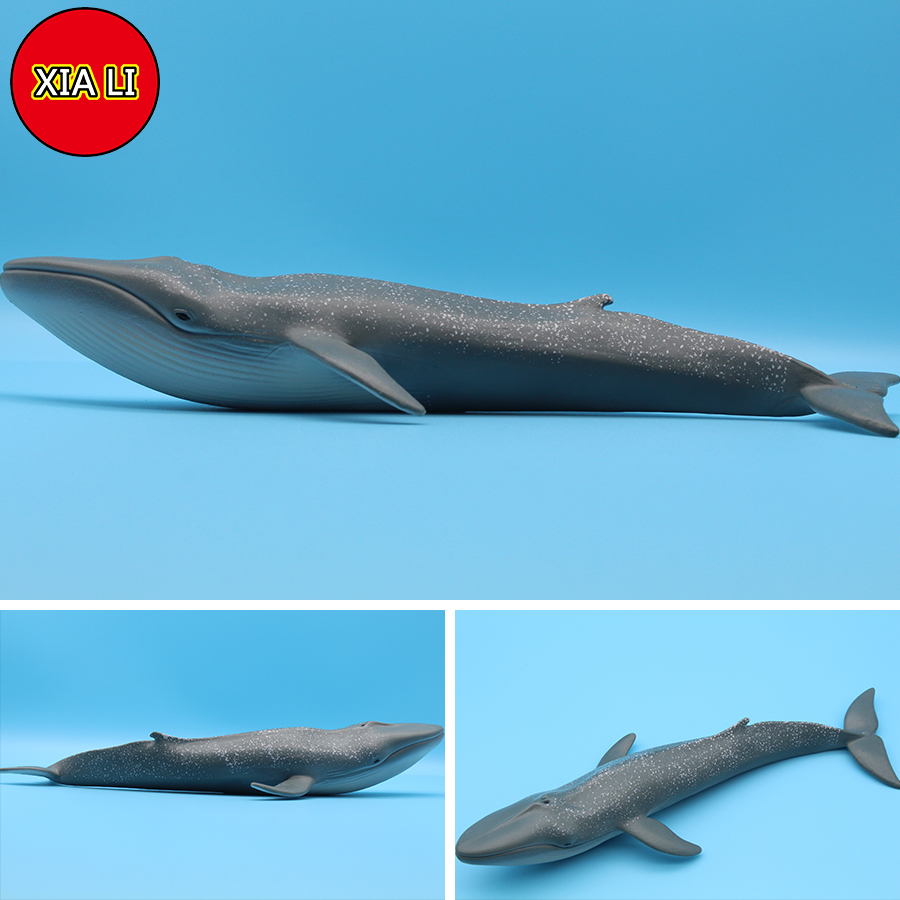 Ocean Sea Life Simulation Kill - Marine Life Aquariums avis et prix