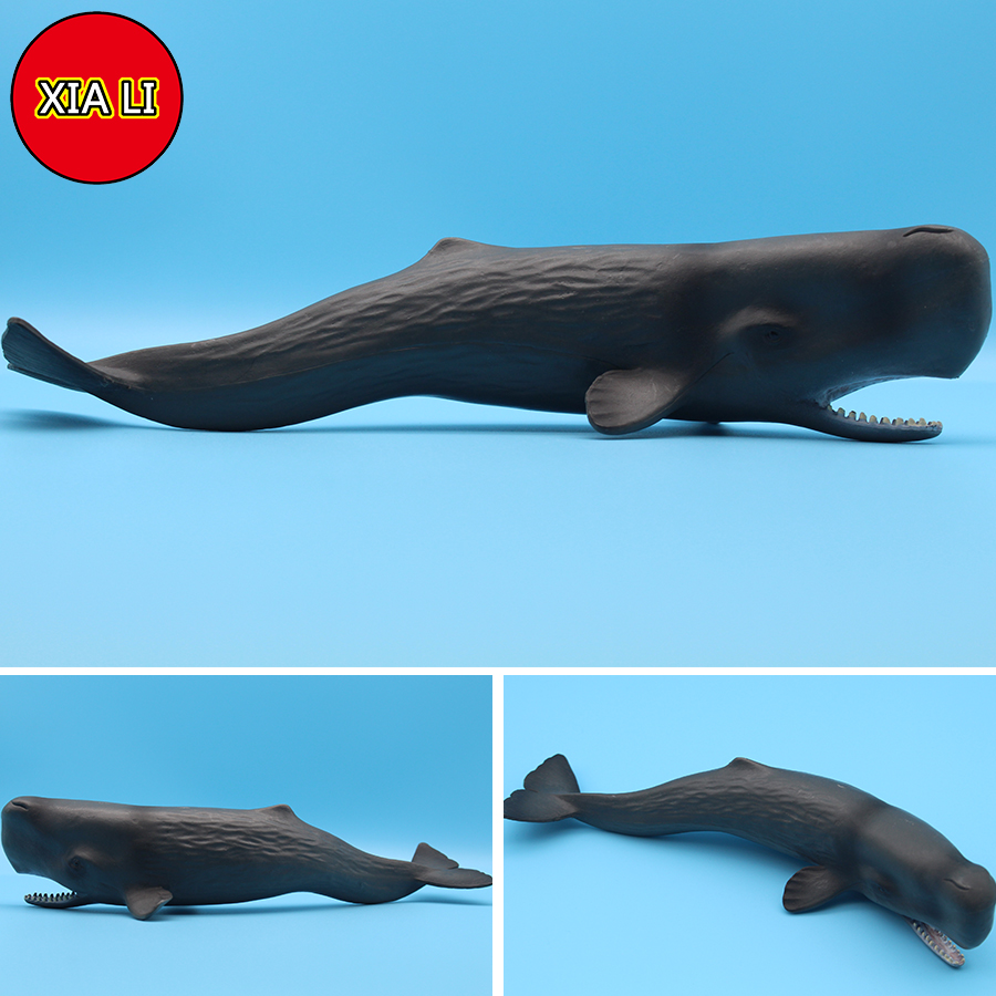 Ocean Sea Life Simulation Kill - Marine Life Aquariums avis et prix