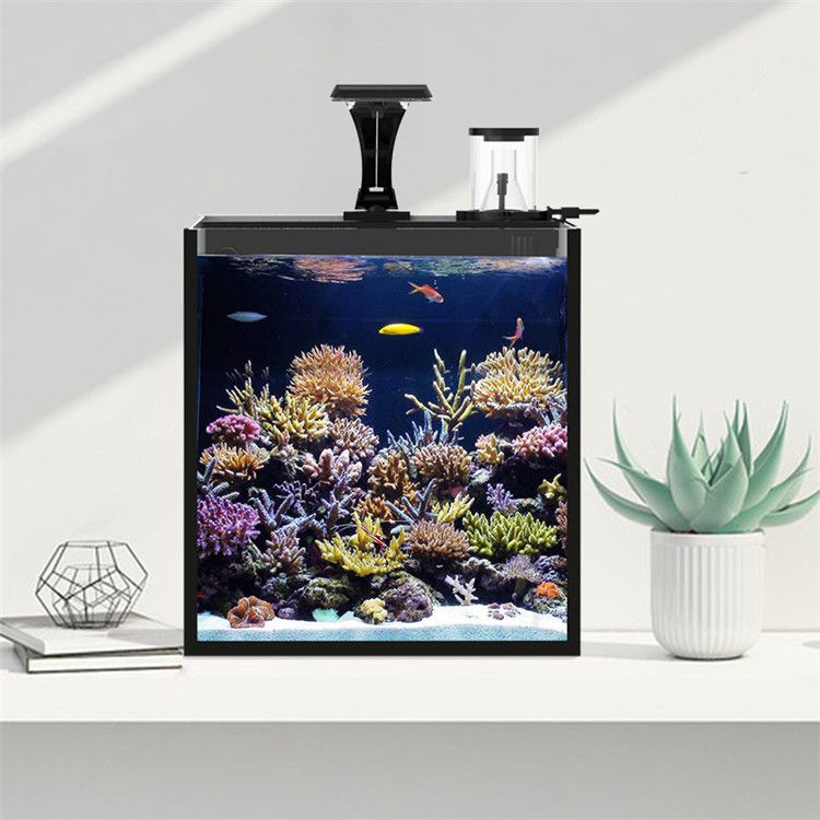 Skynuo Ultra Clear Glass Mini  - Marine Aquarium Cube avis et prix