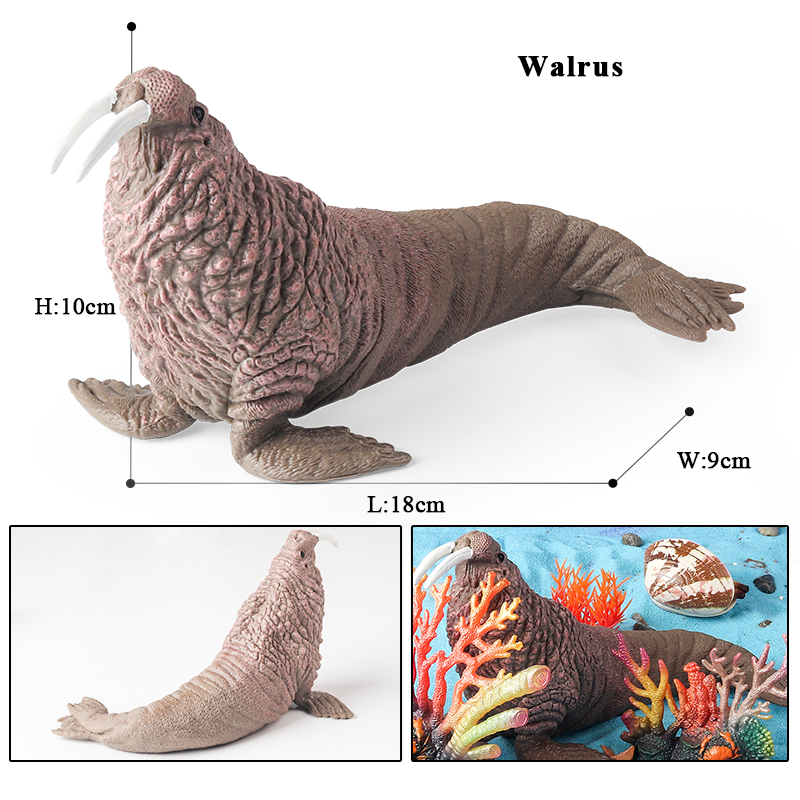 Oenux New Sea Life Seal Sea Li - Marine Life Aquariums avis et prix