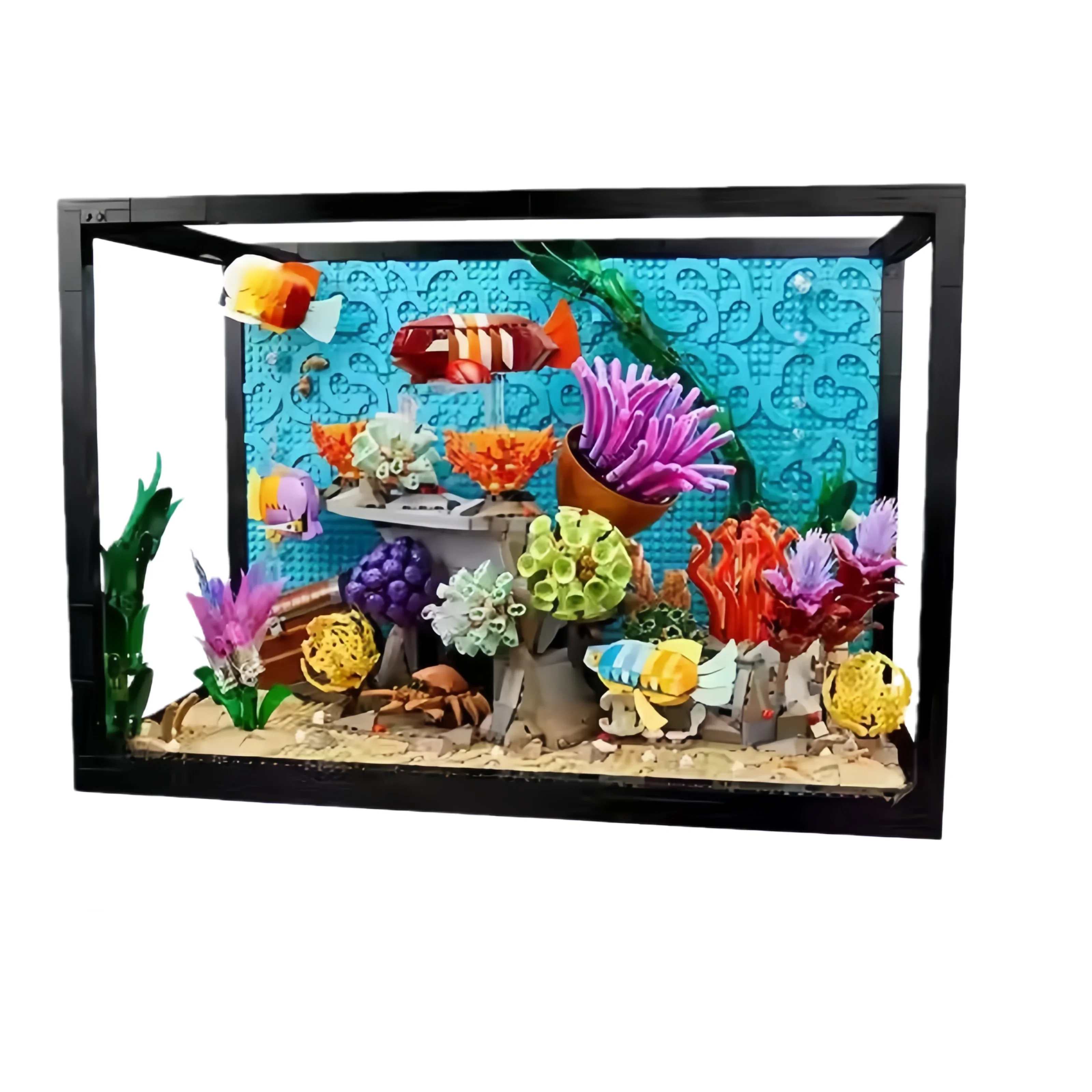 New 2026 Tropical Aquarium Fis - Marine Aquarium Cube avis et prix