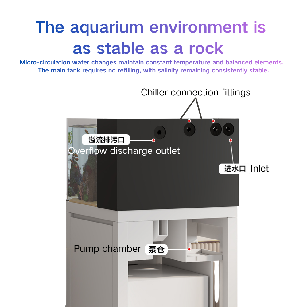 Smart Fish Tank Paopaoshark Au - Marine Aquarium Cube avis et prix