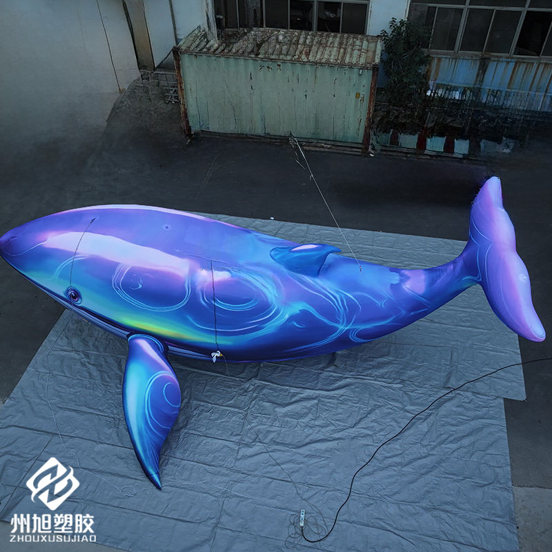 Inflatable blue whale, used as - Marine Life Aquariums avis et prix