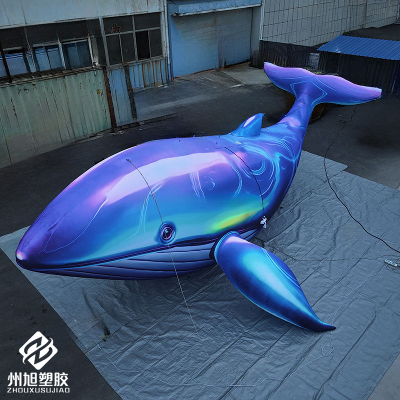 Inflatable blue whale, used as - Marine Life Aquariums avis et prix