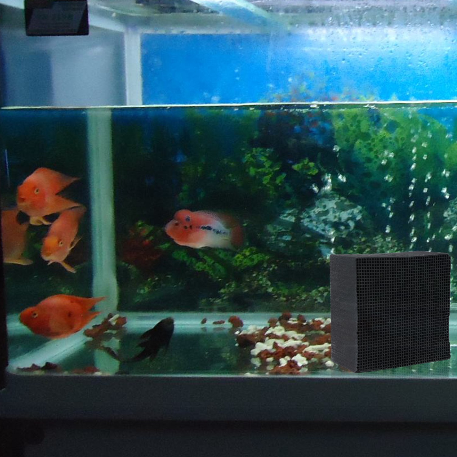 New Activated Carbon Water Fil - Marine Aquarium Cube avis et prix
