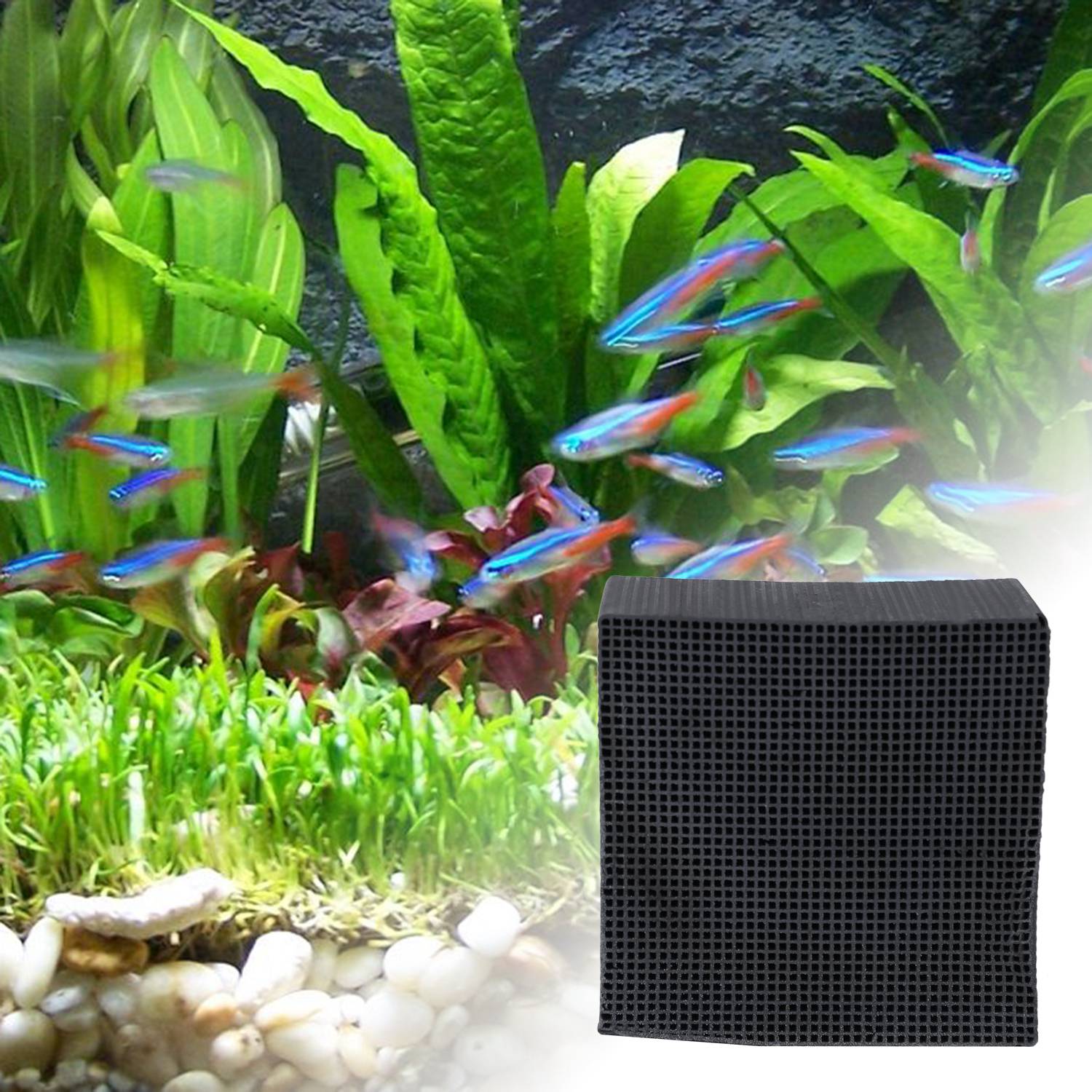 New Activated Carbon Water Fil - Marine Aquarium Cube avis et prix