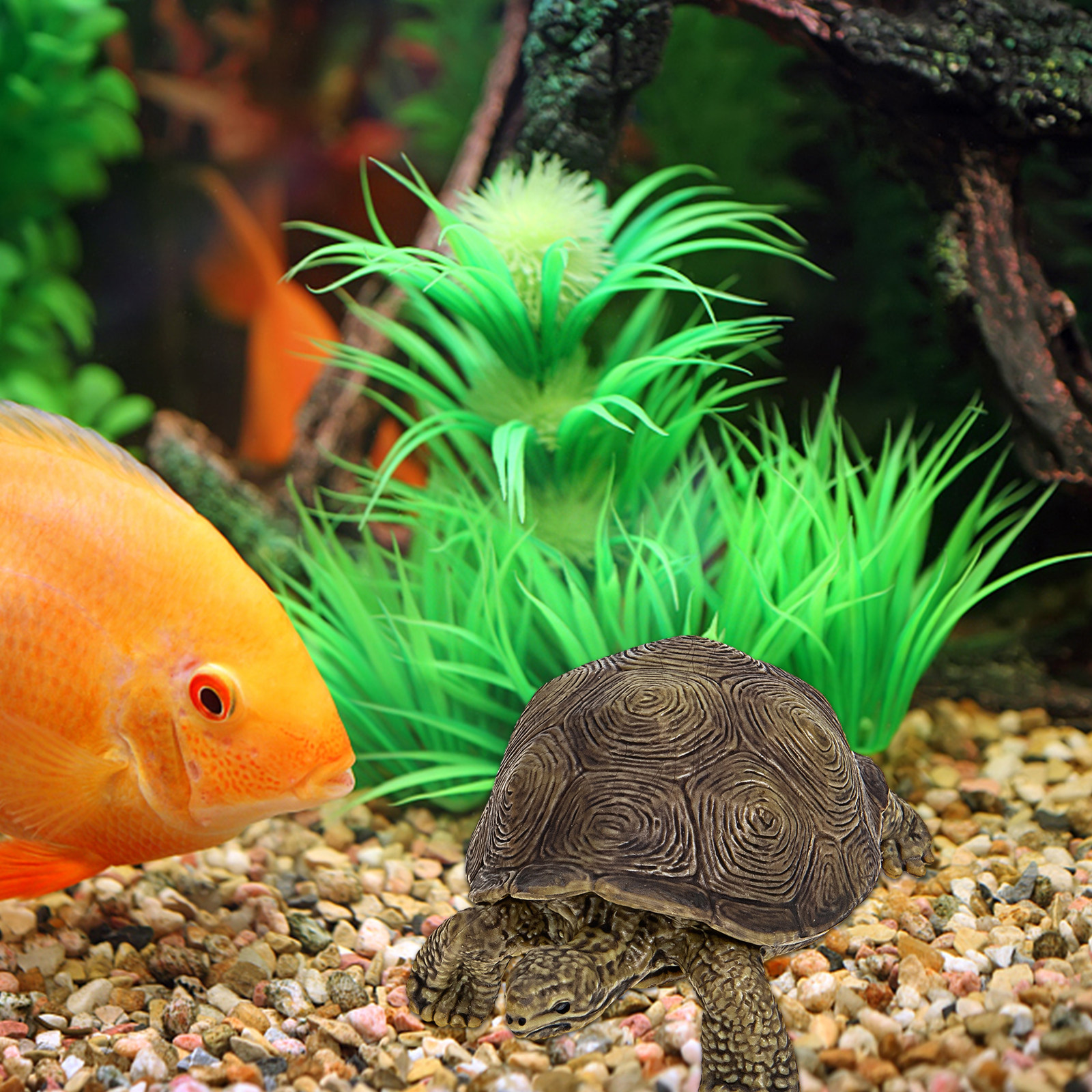 2Pcs Simulation Tortoise Plast - Marine Life Aquariums avis et prix