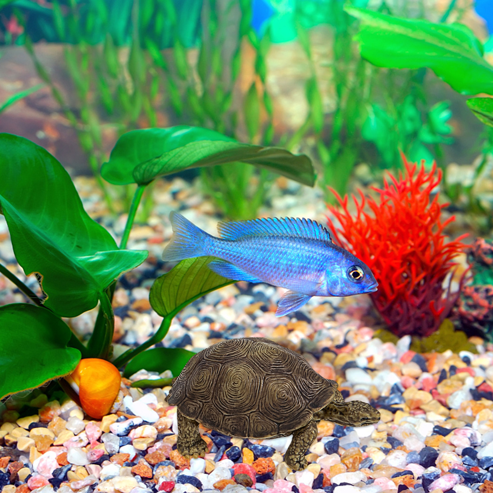 2Pcs Simulation Tortoise Plast - Marine Life Aquariums avis et prix