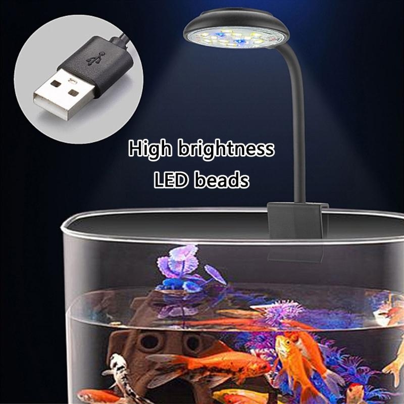 Adjusting Brightness LED Aquar - Marine Life Aquariums avis et prix
