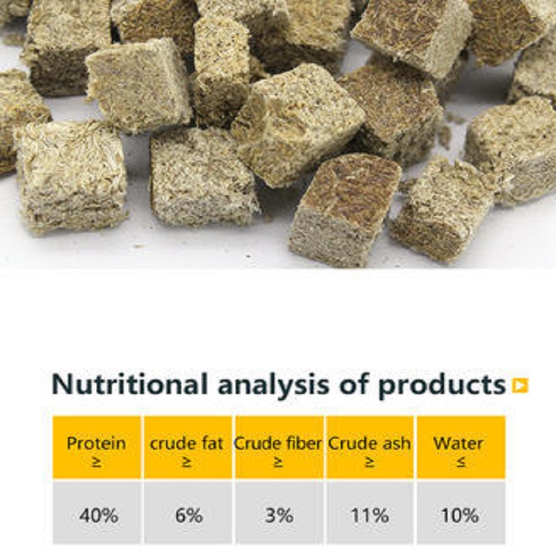 Natural Freeze Dried Bloodworm - Marine Aquarium Cube avis et prix