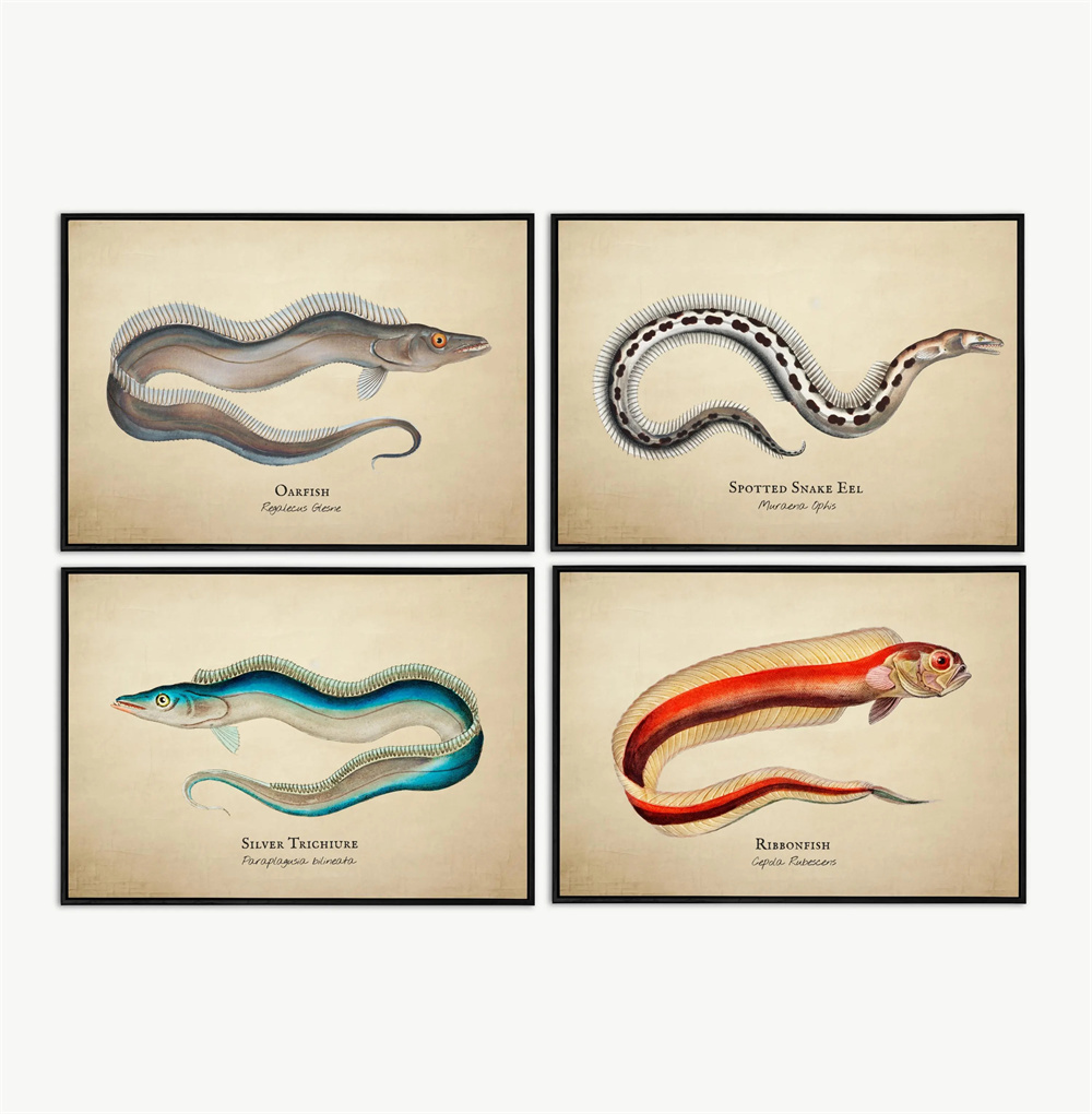 Vintage Pictures Tropical Fish - Marine Life Aquariums avis et prix