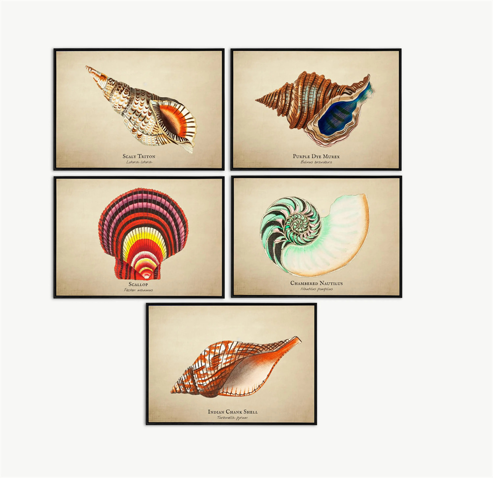 Vintage Pictures Tropical Fish - Marine Life Aquariums avis et prix