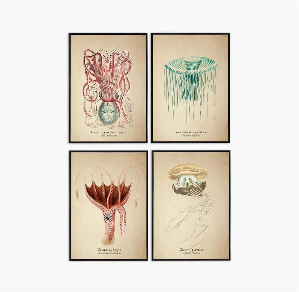 Vintage Pictures Tropical Fish - Marine Life Aquariums avis et prix