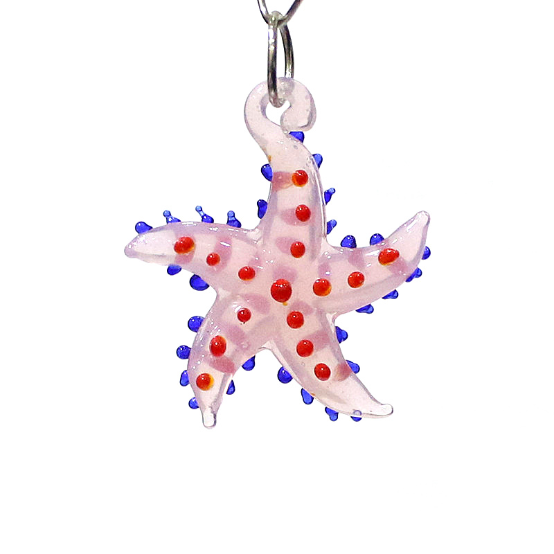Cute Marine Animal Starfish Ch - Marine Aquarium Europe avis et prix