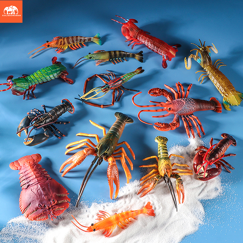 Sea Life Animals Boston Lobste - Marine Life Aquariums avis et prix