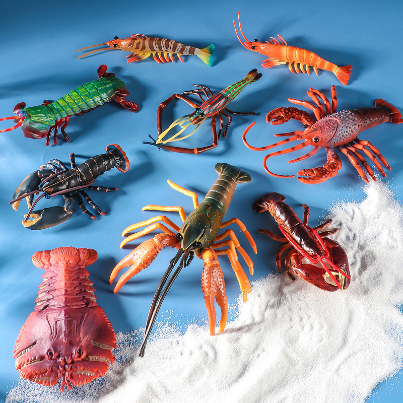 Sea Life Animals Boston Lobste - Marine Life Aquariums avis et prix