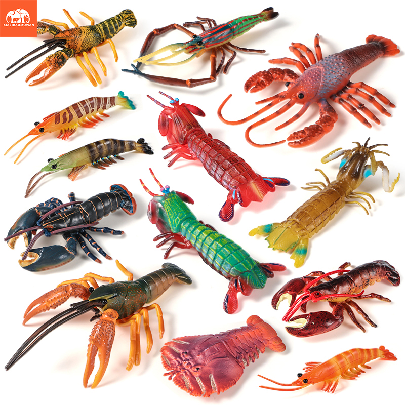 Sea Life Animals Boston Lobste - Marine Life Aquariums avis et prix