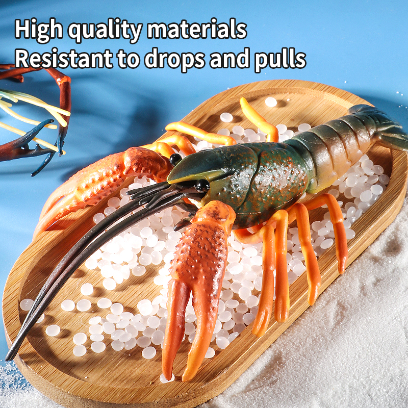 Sea Life Animals Boston Lobste - Marine Life Aquariums avis et prix