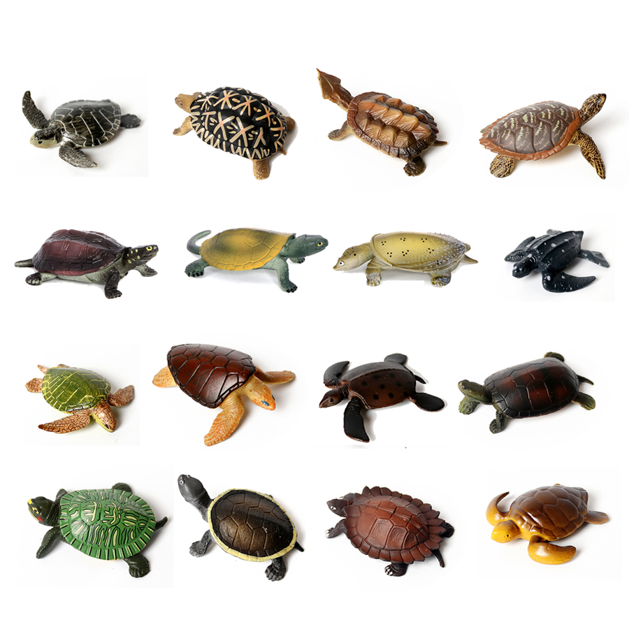 Realistic Miniatures Marine Li - Marine Life Aquariums avis et prix