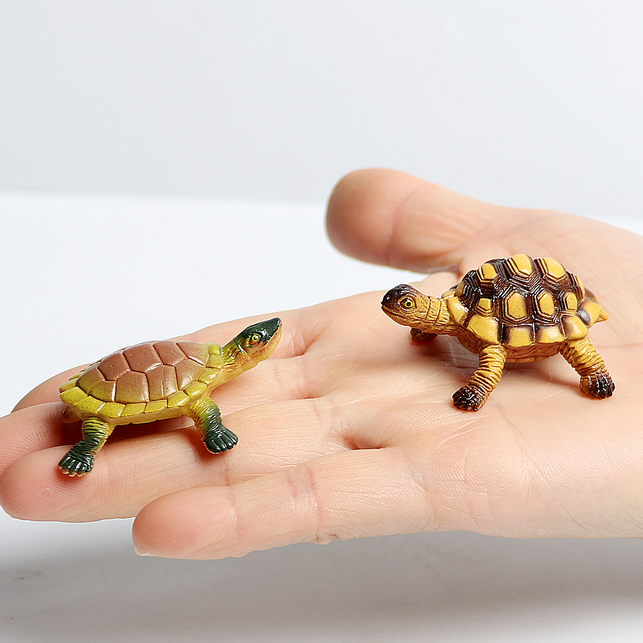 Realistic Miniatures Marine Li - Marine Life Aquariums avis et prix